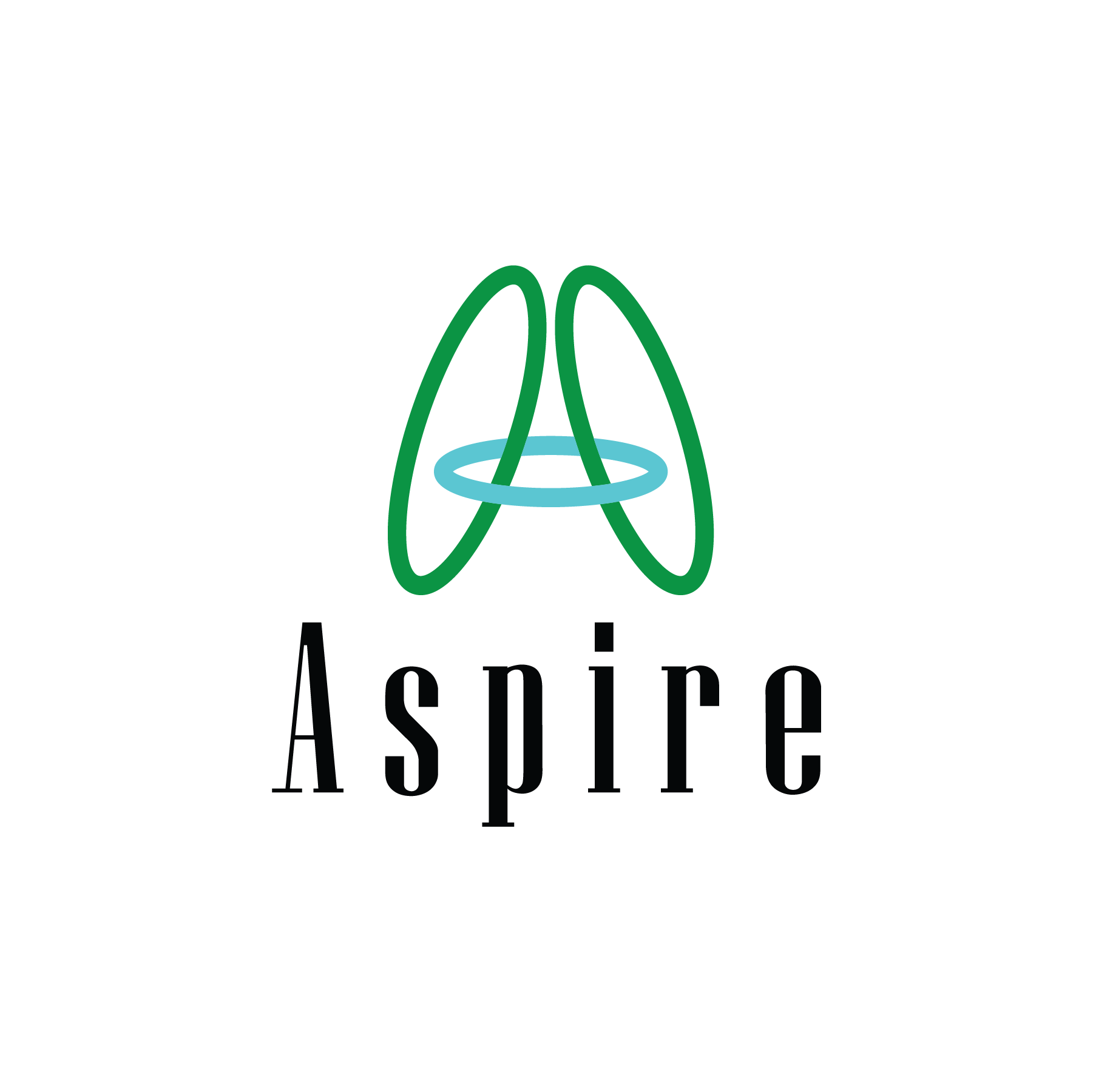 Aspire Facilitators Pvt Ltd